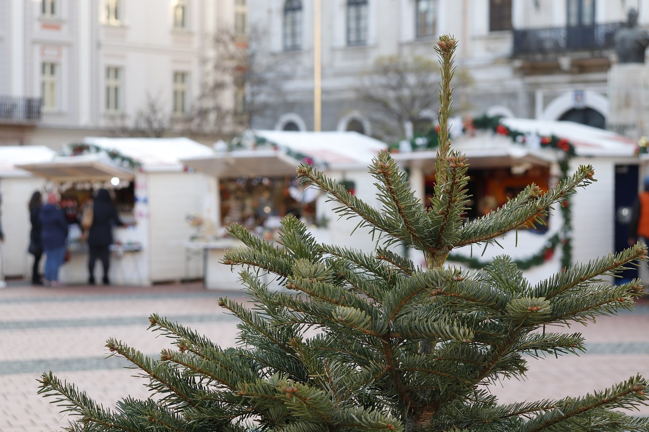 Der Odenwälder Weihnachtsmarkt in Rittenweier Weinheim